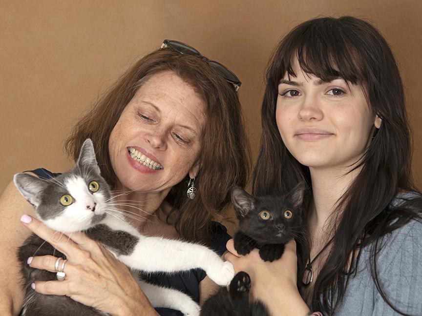 Ingrid and Rockwell, a ADOPTABLE Domestic Short Hair in Chicago, IL image 2/6