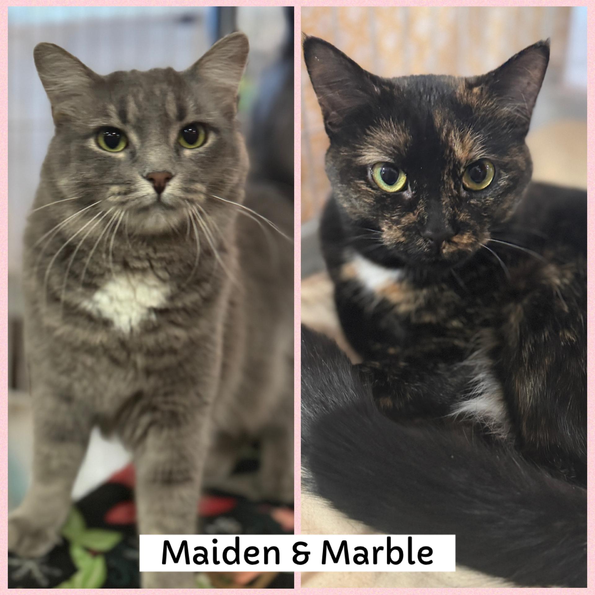 Maiden & Marble