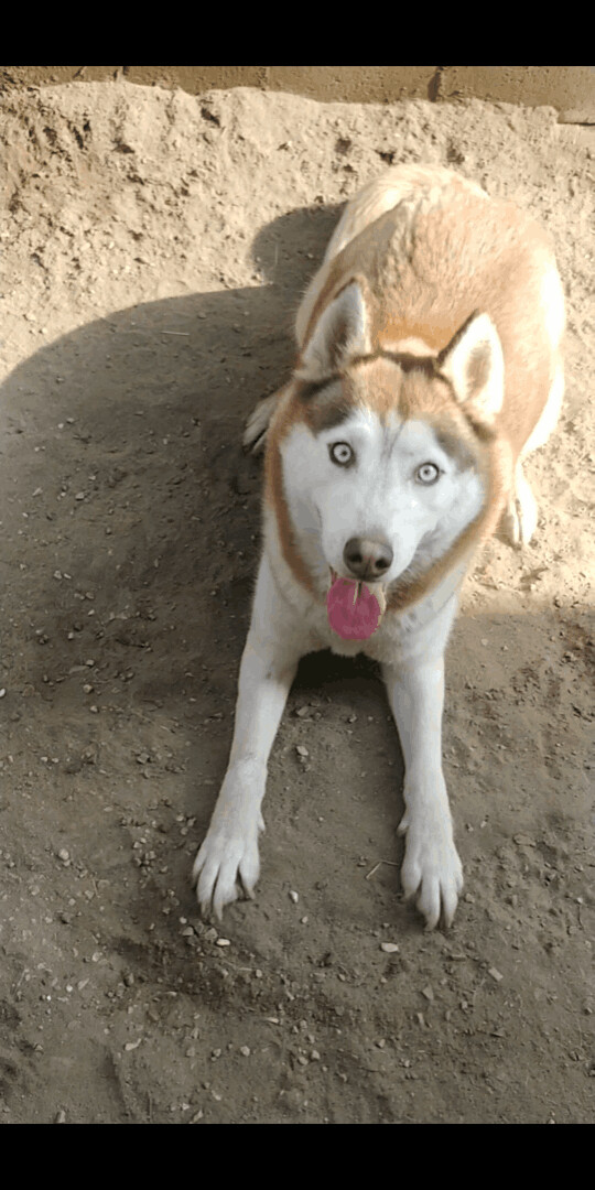 Darla photo 4