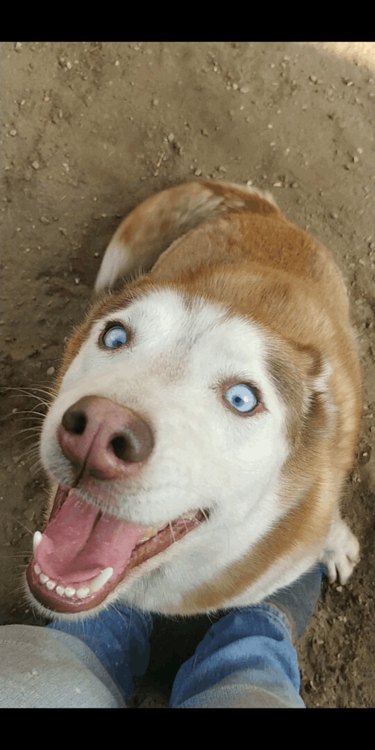 Darla