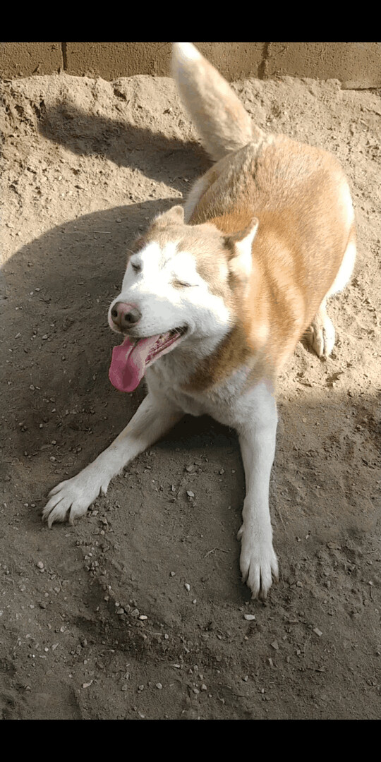 Darla photo 5