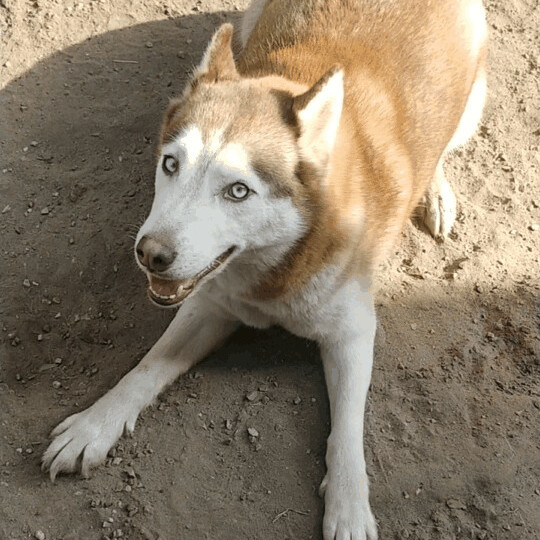 Darla photo 3