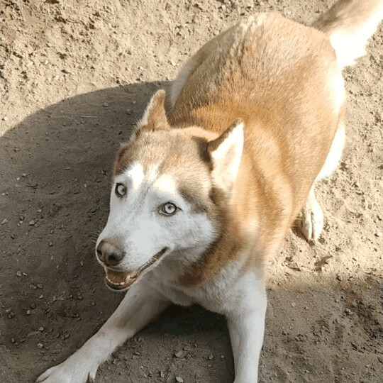 Darla photo 2