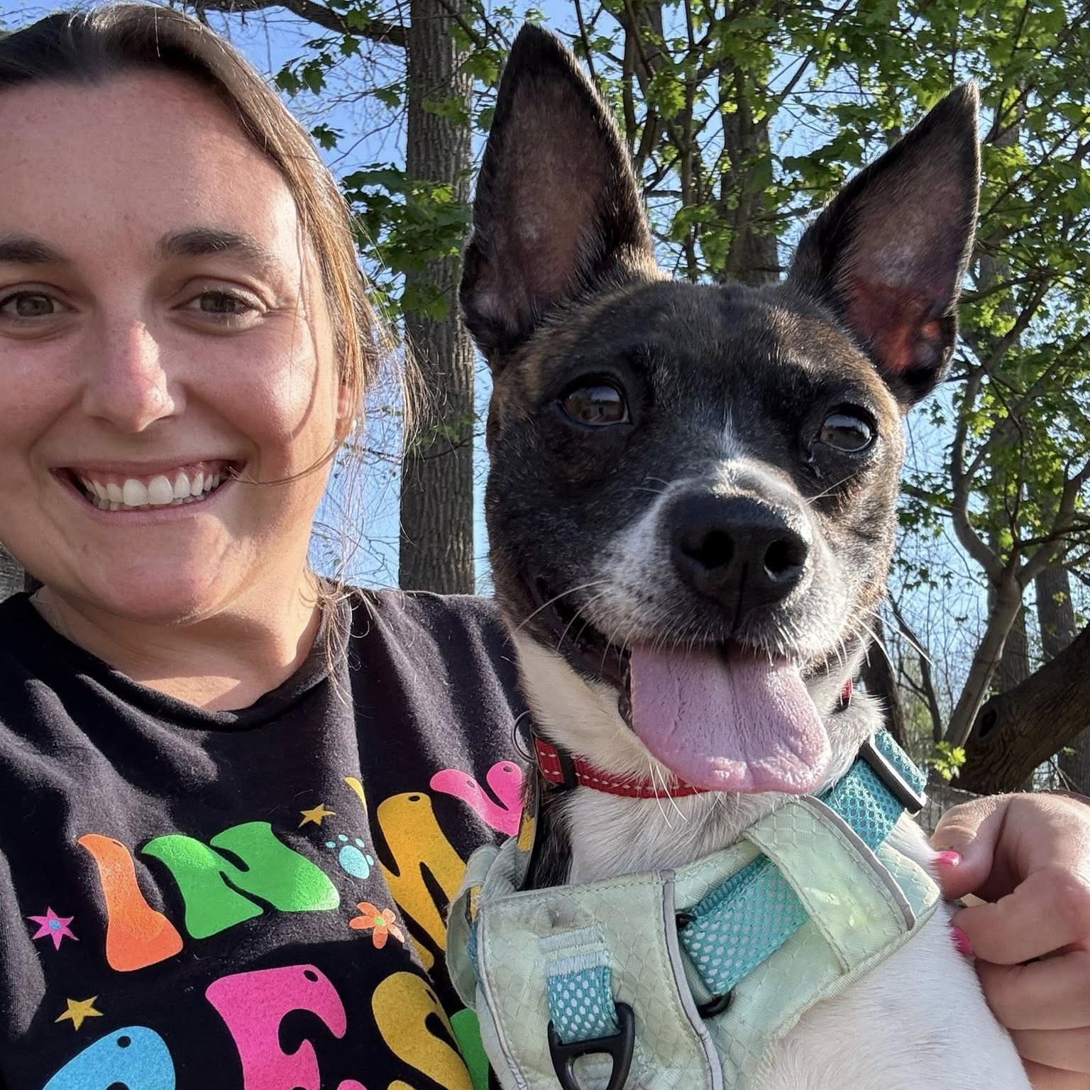 Enlarge Angelica, an adoptable mixed breed in Phoenixville, PA image 3/6