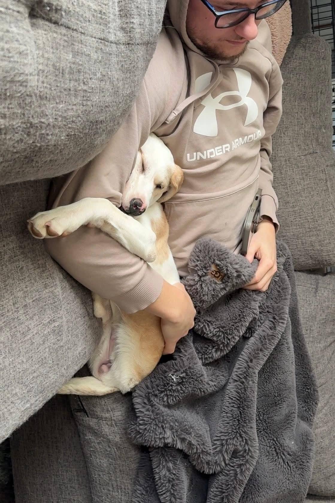 Champagne , an adopted mixed breed in Sioux City, IA image 4/6