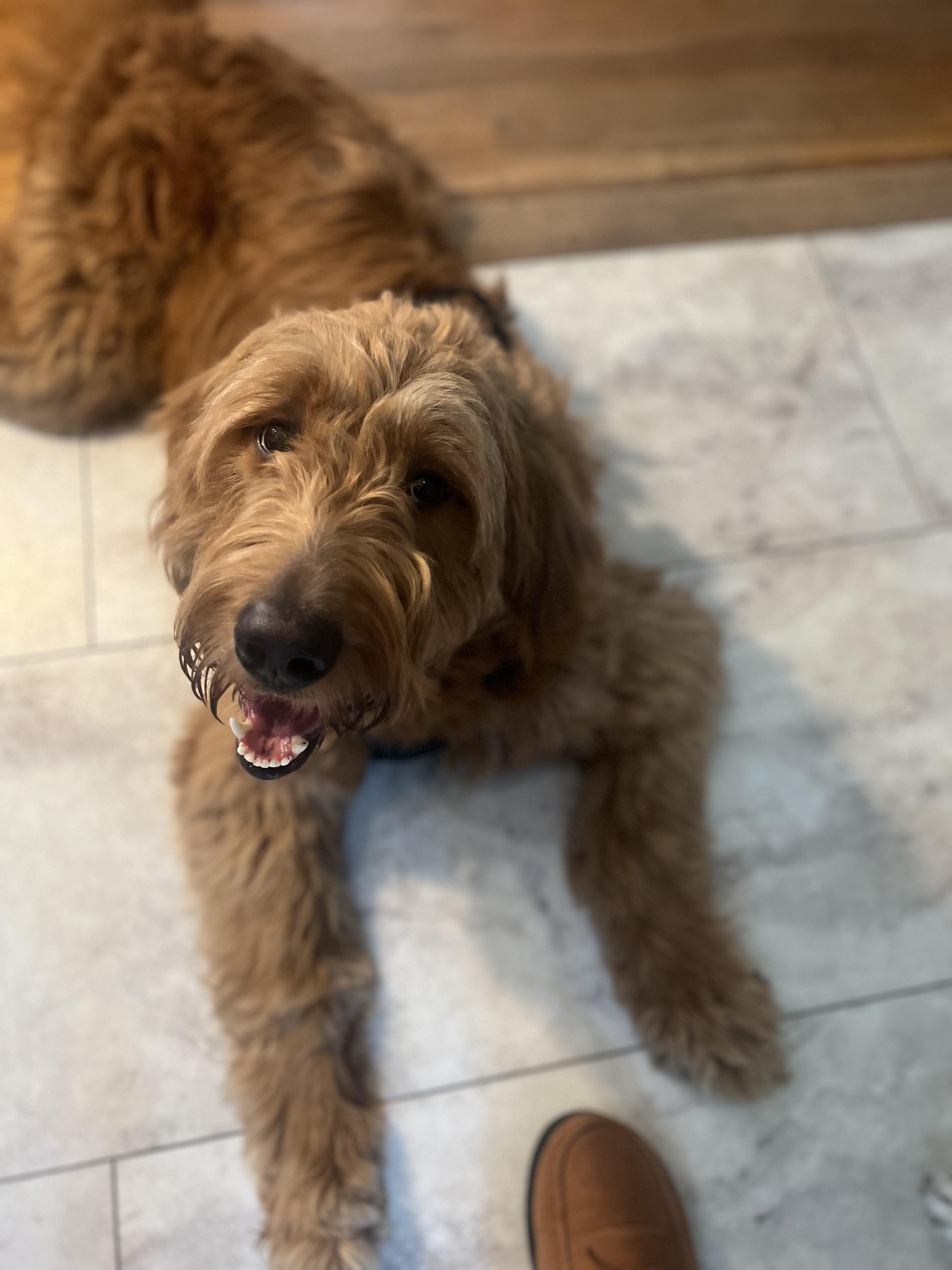 Cooper