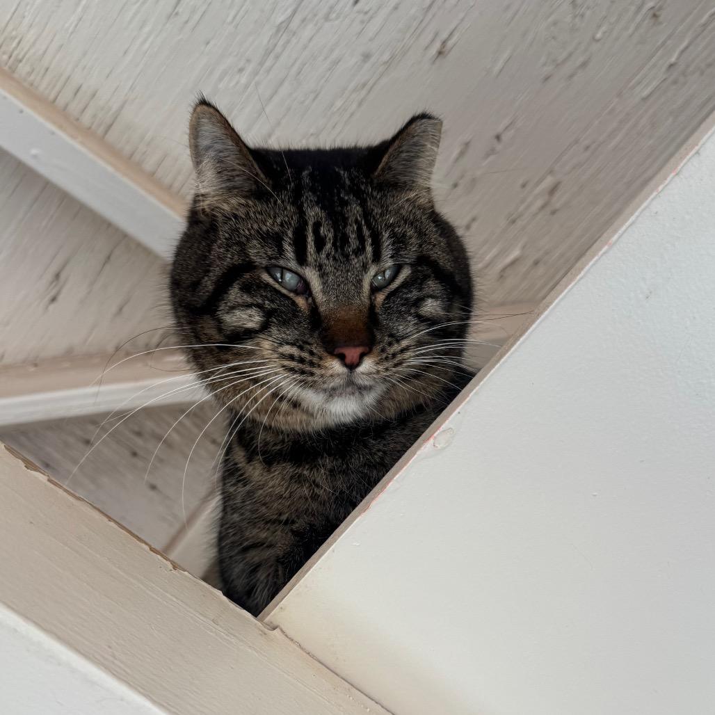 Kendrick — thumbnail 2