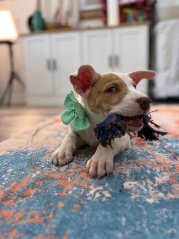 Barry White — thumbnail 5