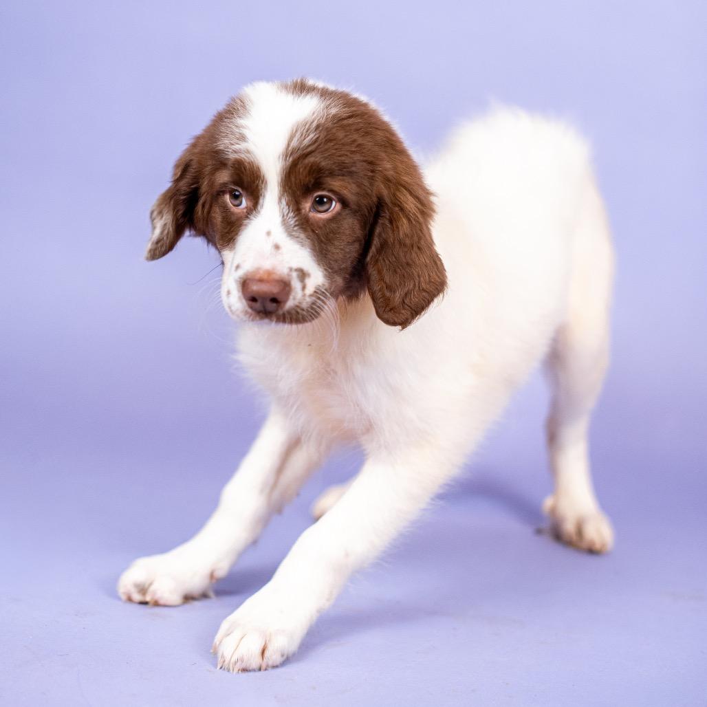 Kelsi Nielsen thumbnail 3