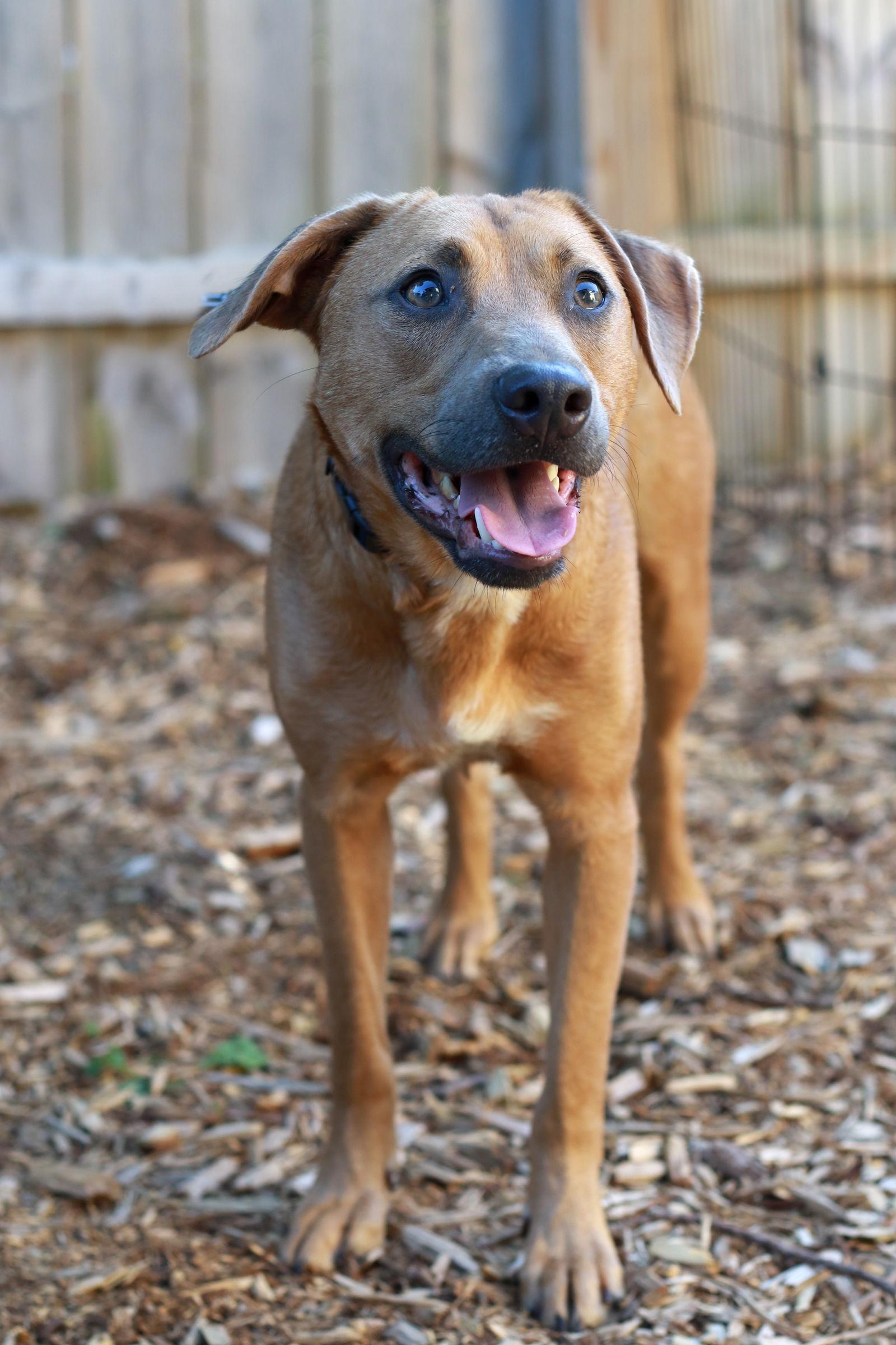 Natz ⭐️ thumbnail 2