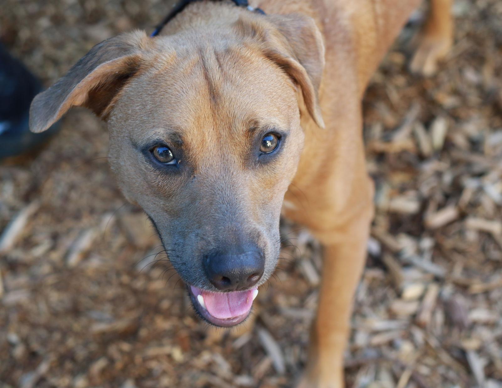 Natz ⭐️ thumbnail 3