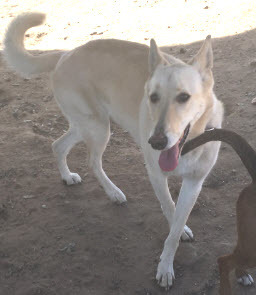 Luna photo 2