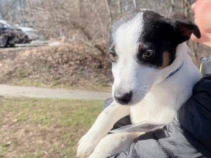 Harmony — thumbnail 2