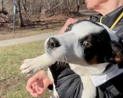 Harmony — thumbnail 3