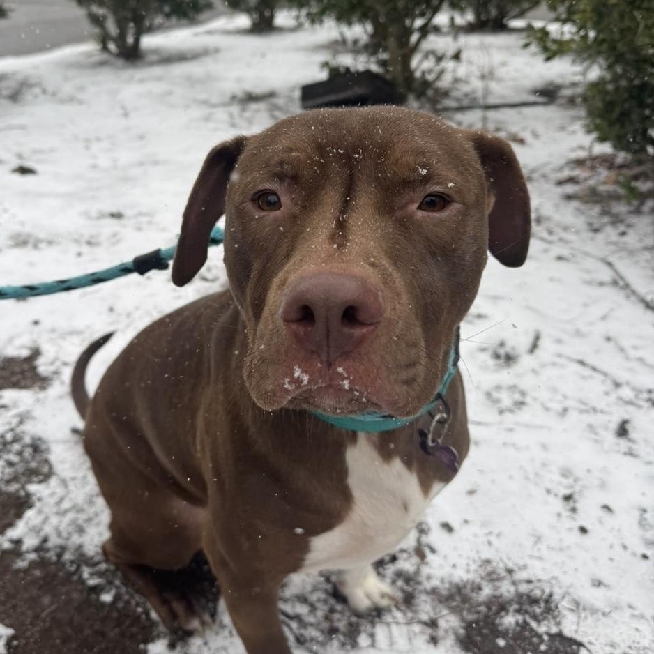 Cruz — thumbnail 2