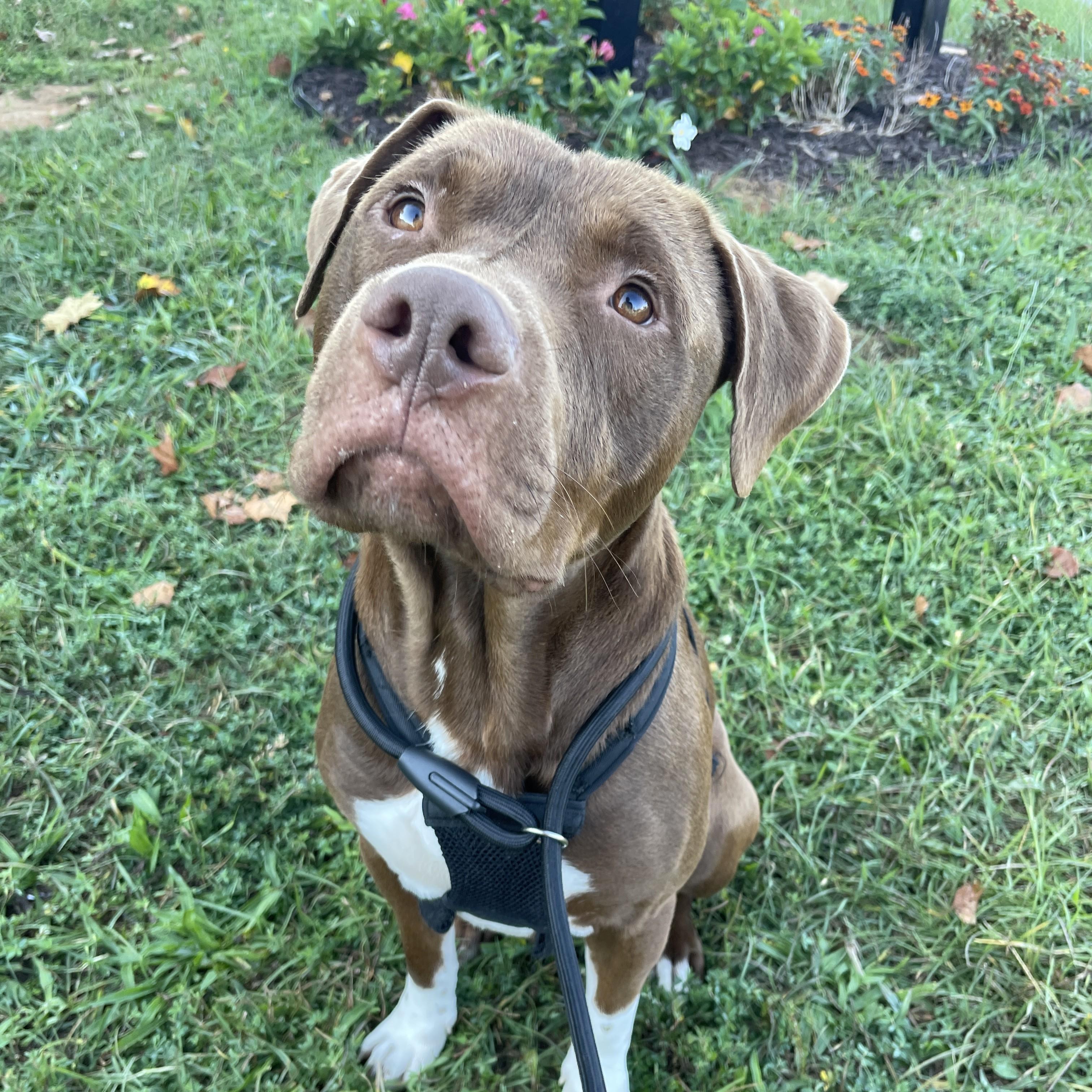 Cruz — thumbnail 5