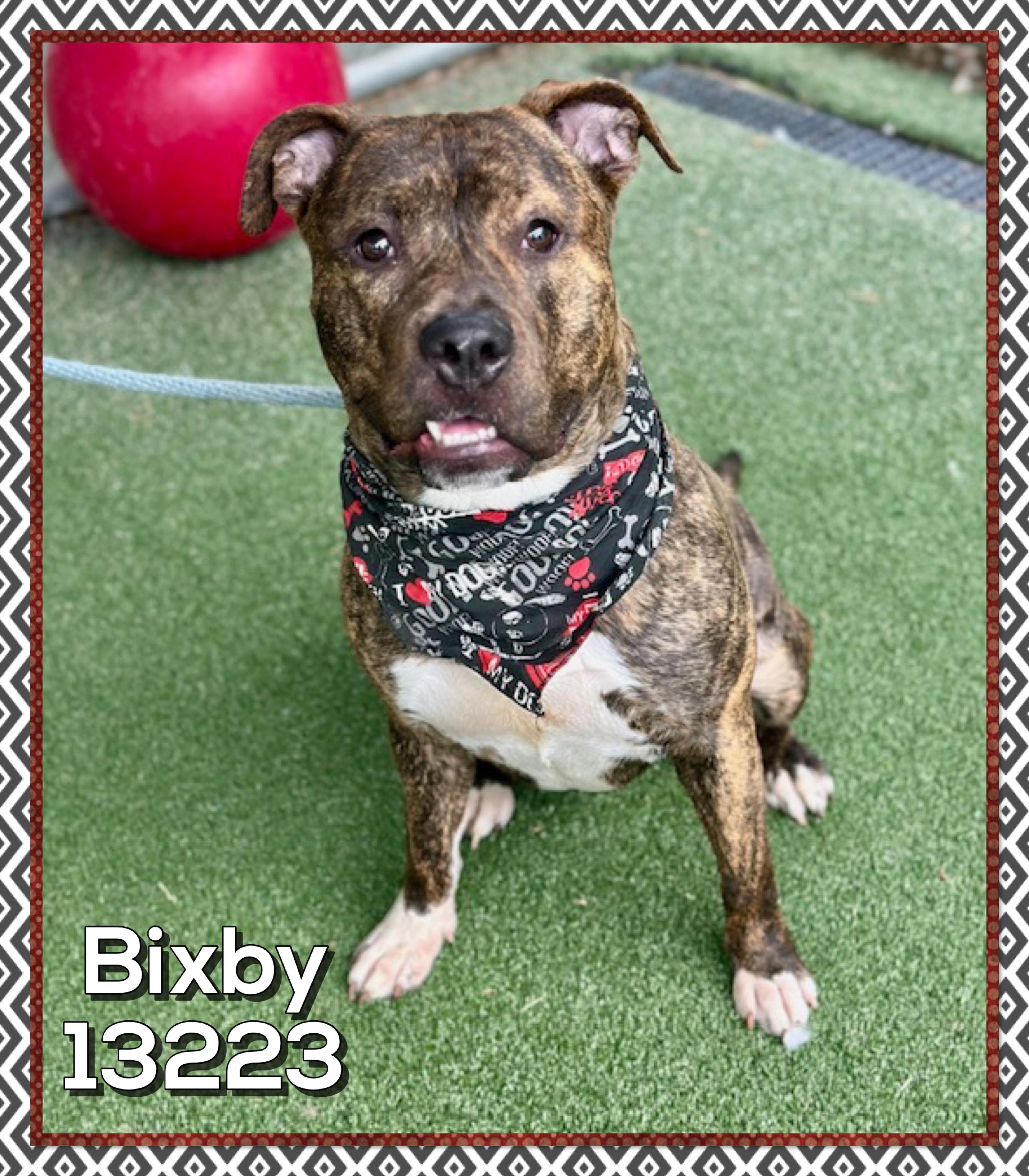 BIXBY