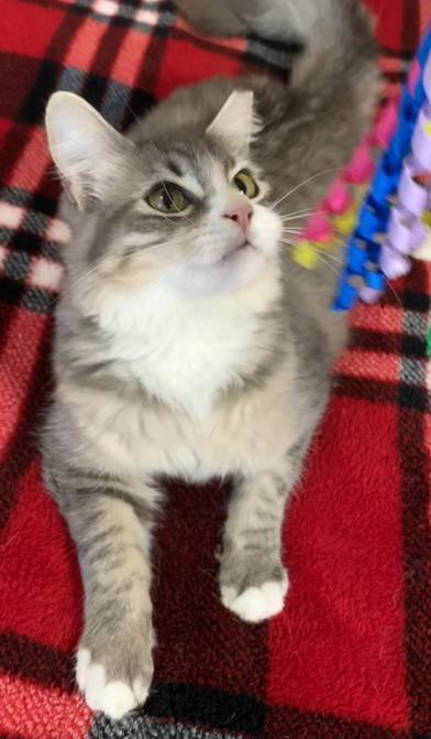 London — thumbnail 2