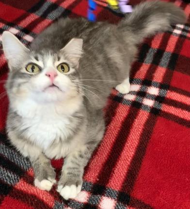 London — thumbnail 3