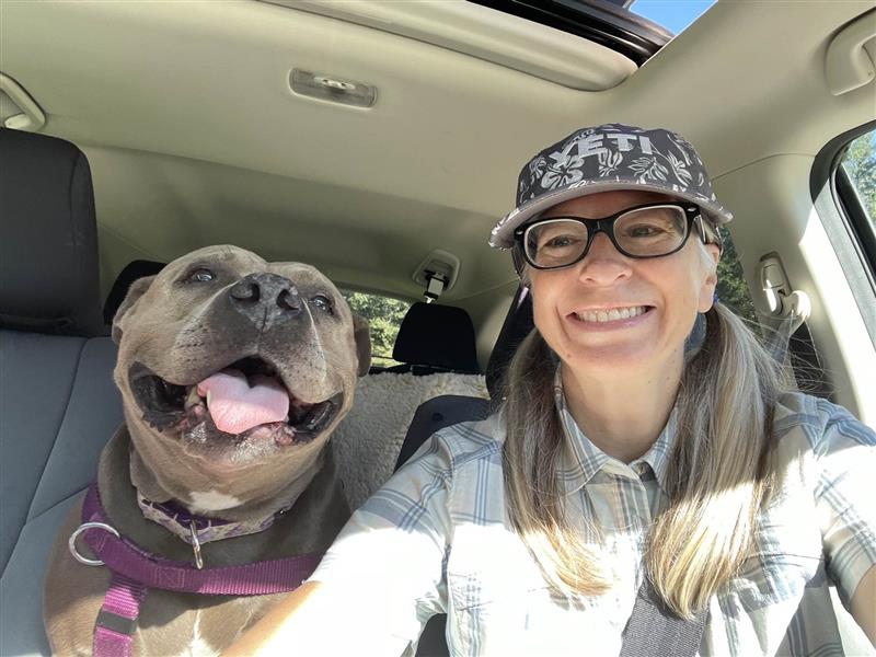 Princess, a Adoptable mixed breed in Manchester, CT image 2/6