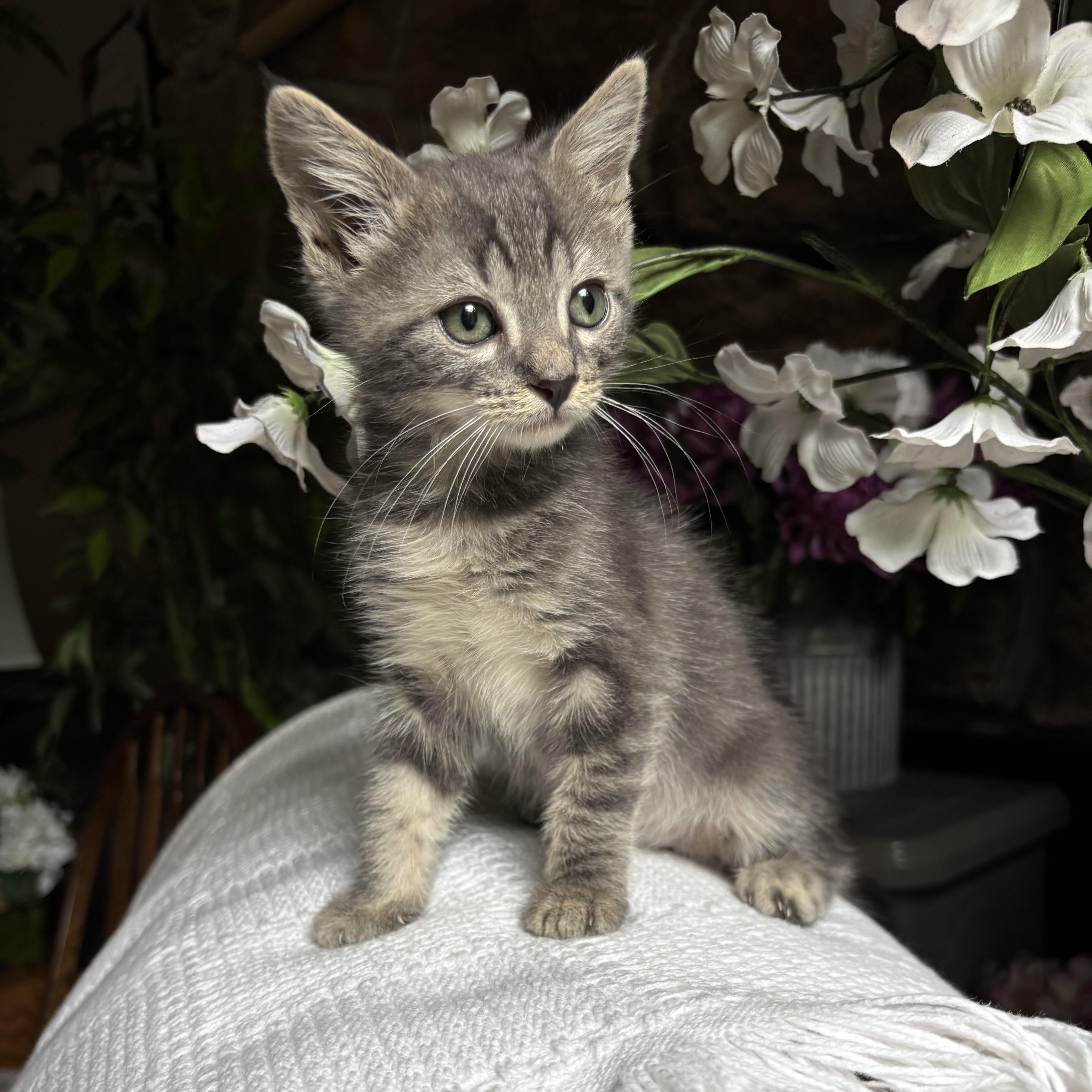 Skyler photo 4