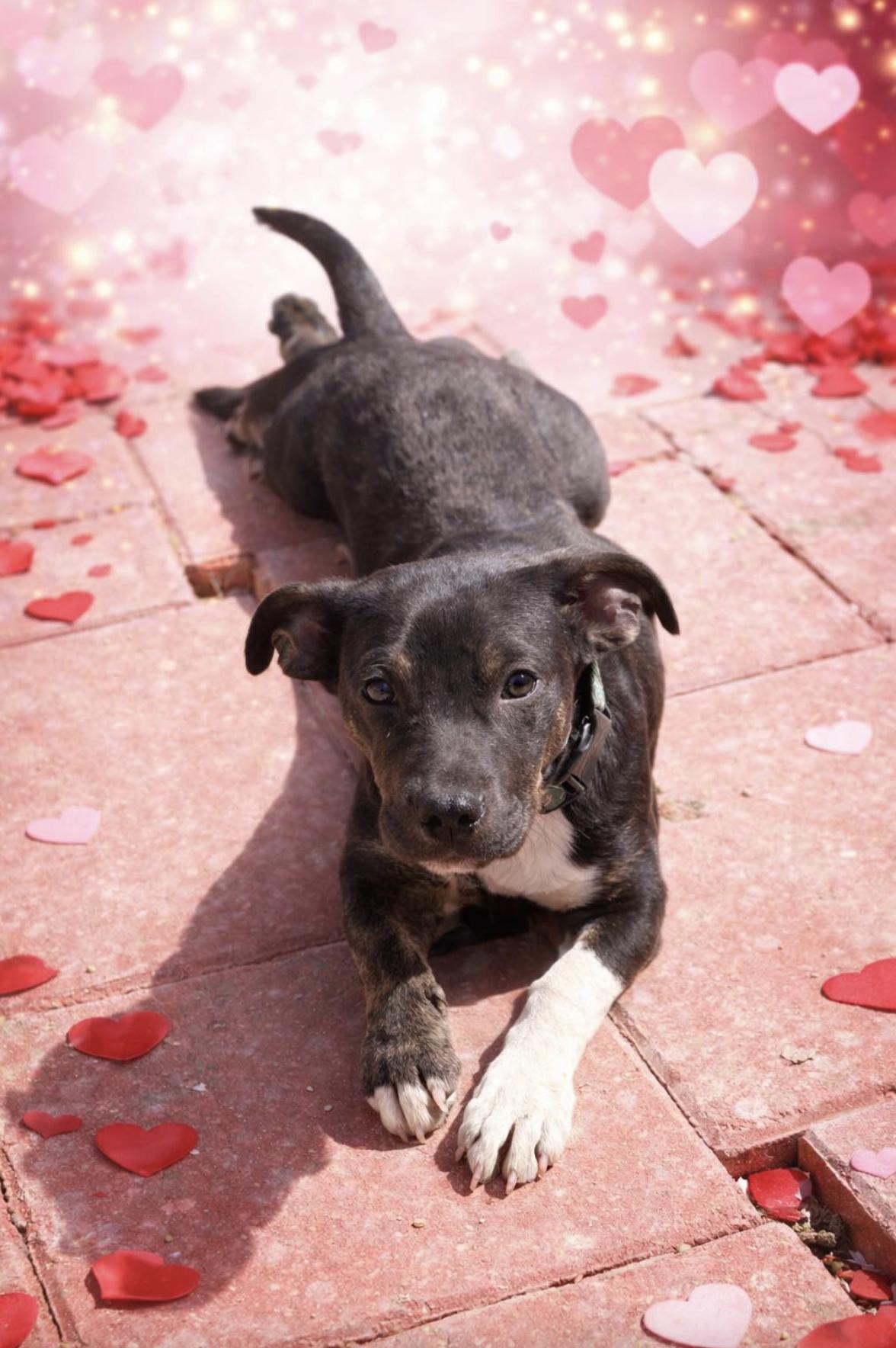 Quinton — thumbnail 4