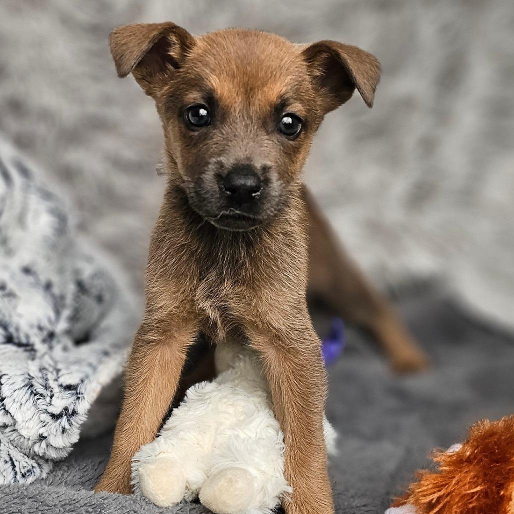 Janet — thumbnail 2