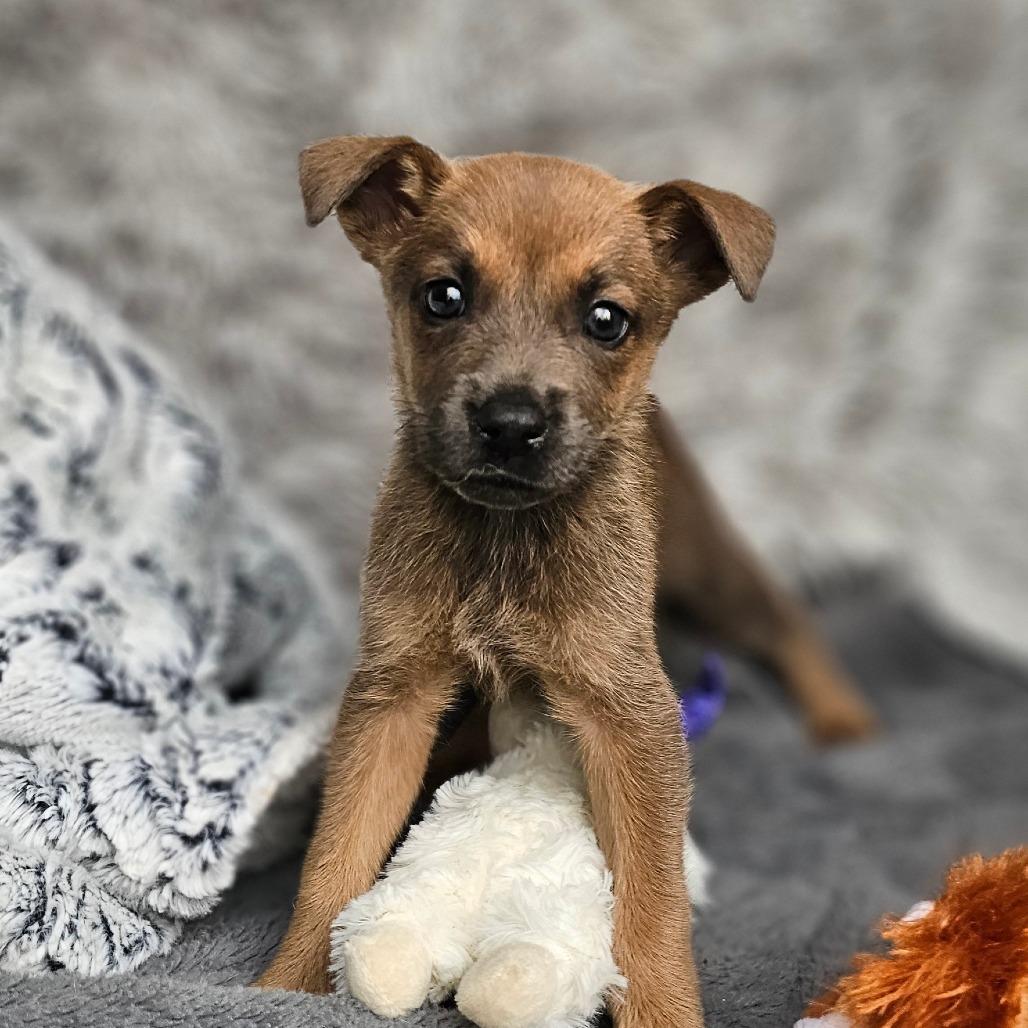 Janet — thumbnail 4