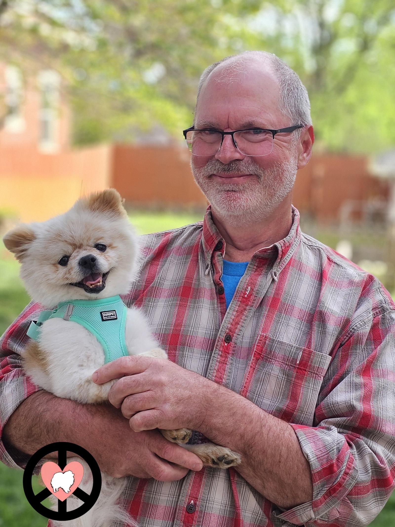 Wilbur, a Adopted Pomeranian in Lebanon, PA image 2/3