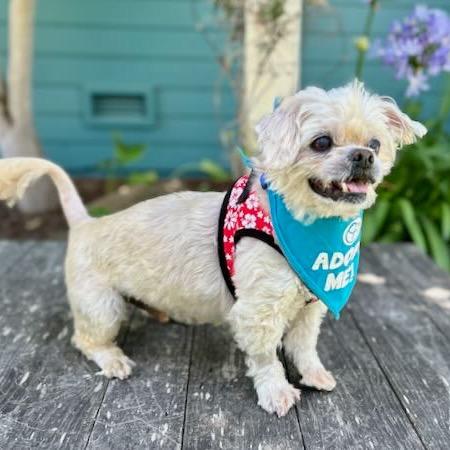 Hot Sauce — thumbnail 3