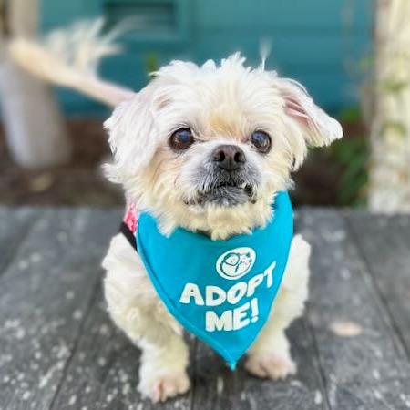 Hot Sauce — thumbnail 4