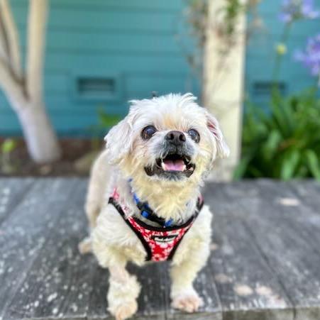 Hot Sauce — thumbnail 5