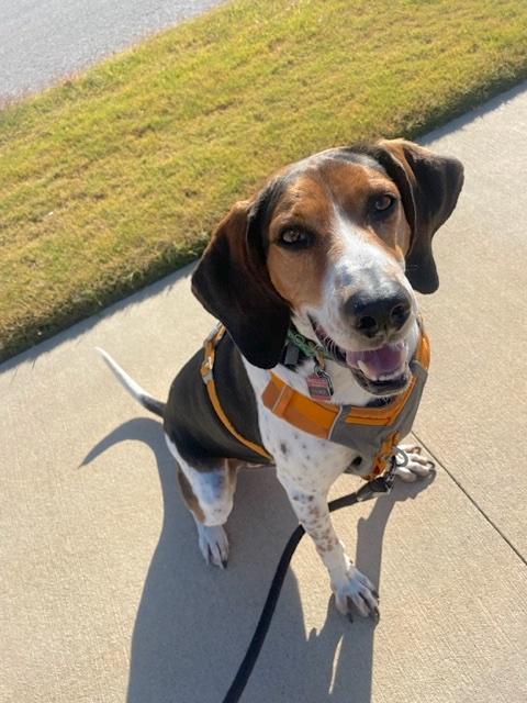 Duke