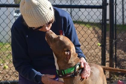 Enlarge Nicolette -IN FOSTER, a Adoptable Mixed Breed in Chamblee, GA image 3/3