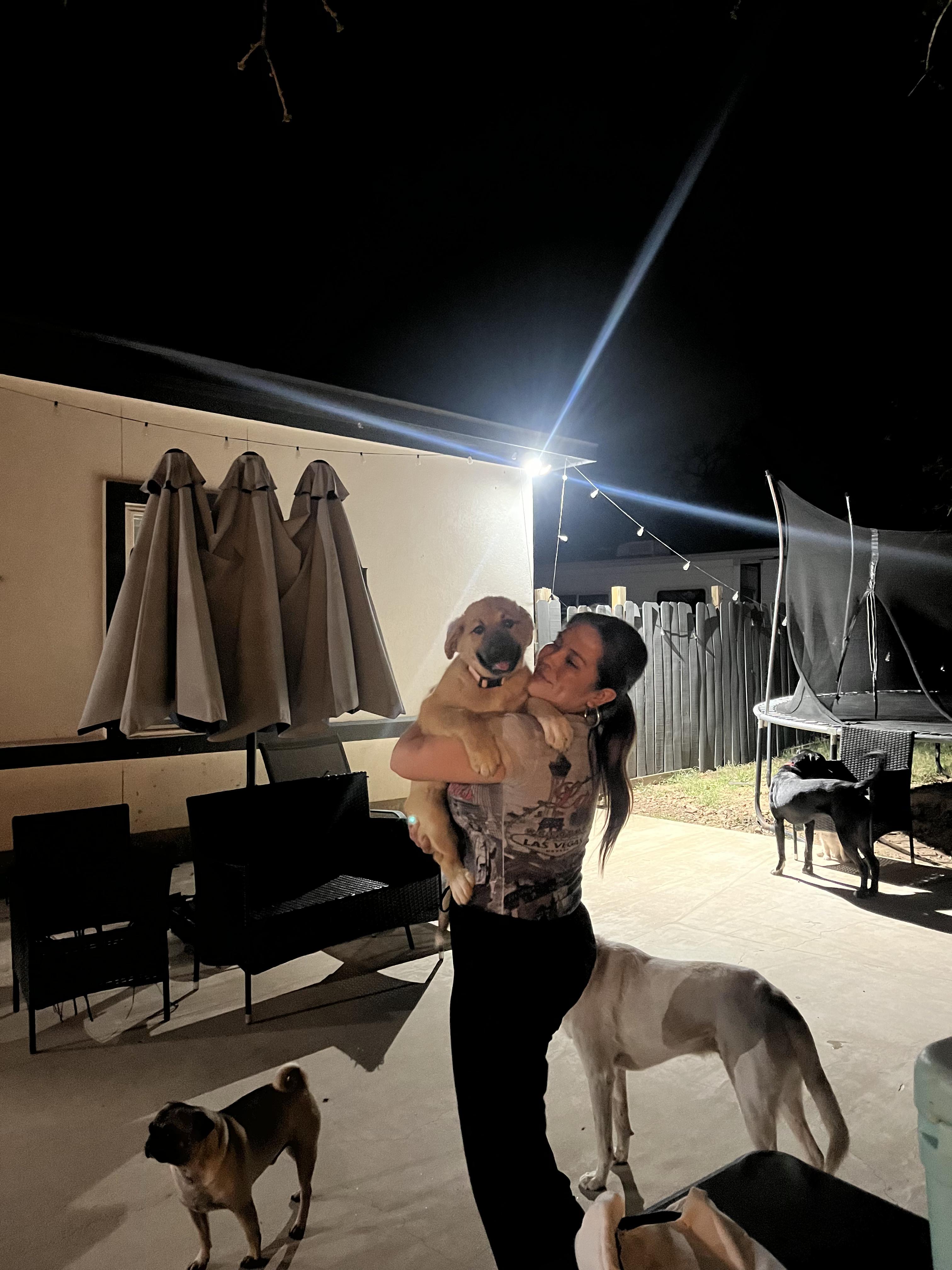 Enlarge Bombon, an adopted mixed breed in Bastrop, TX image 6/6