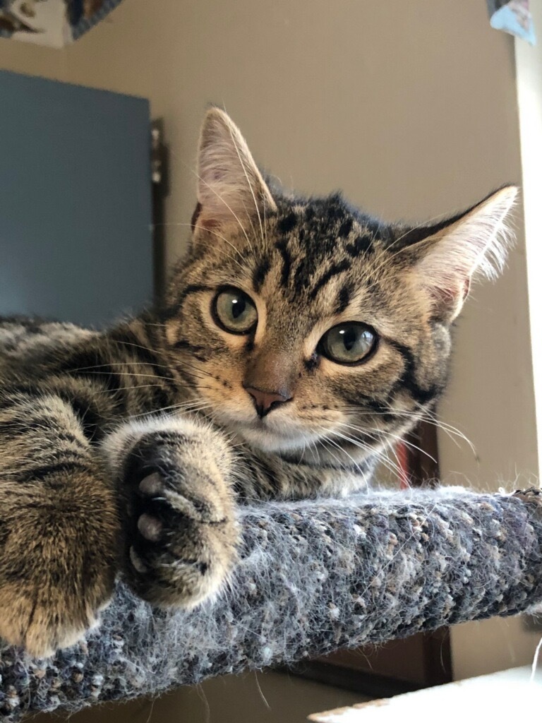 Kiki photo 2