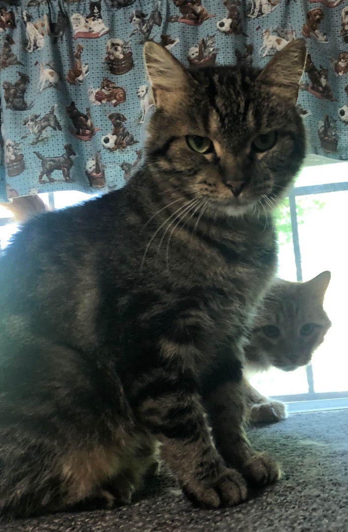Kiki photo 4