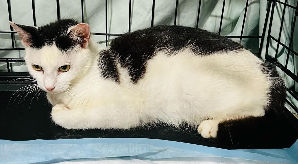 Jessica Drew & Cindy Moon