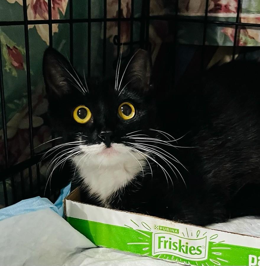 Jessica Drew & Cindy Moon