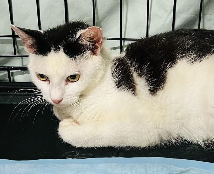 Jessica Drew & Cindy Moon