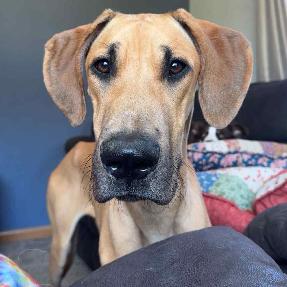 Lydia