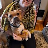 Enlarge Hazelnut, a Adoptable mixed breed in Buffalo, NY image 5/6