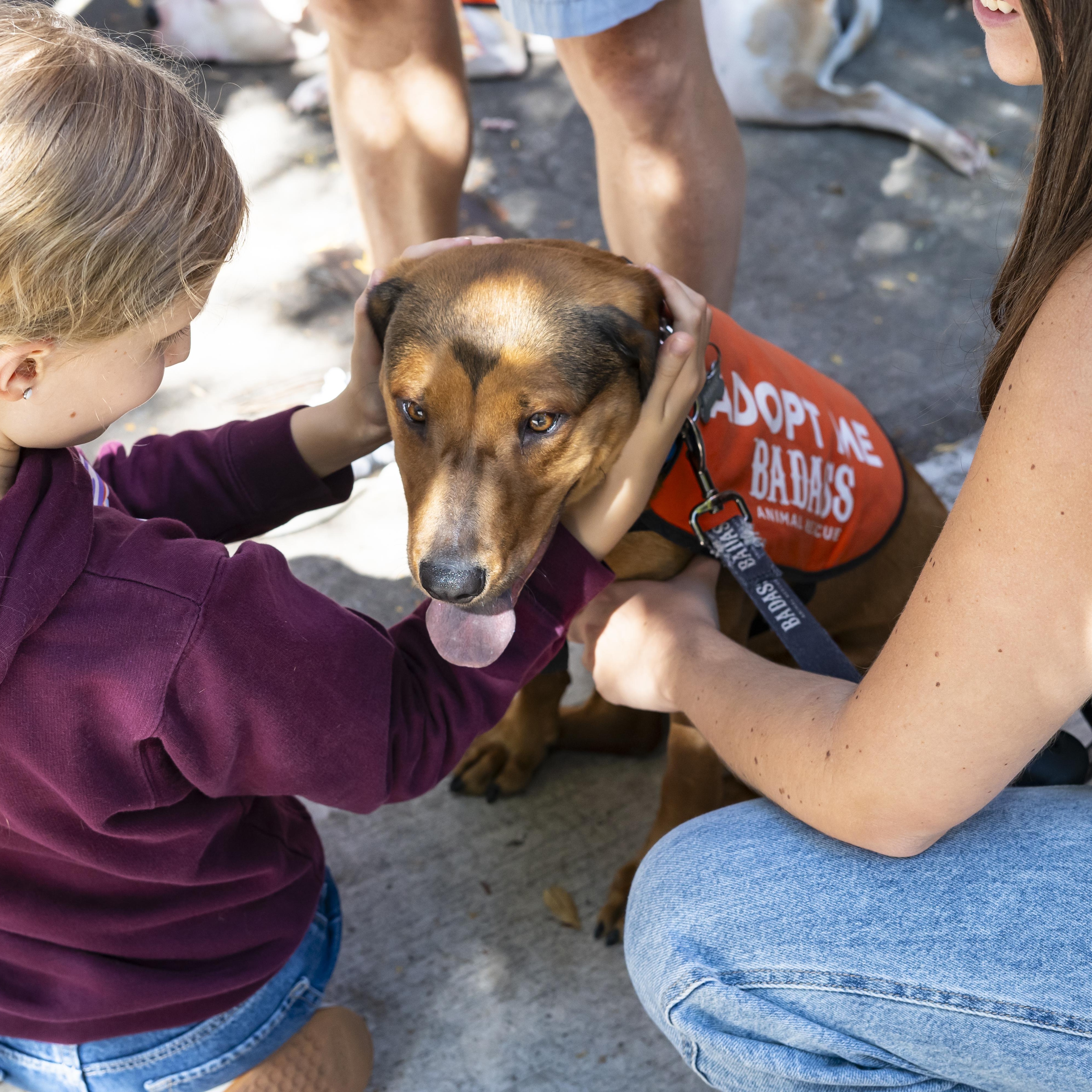 Jasmine Cephas Jones thumbnail 5
