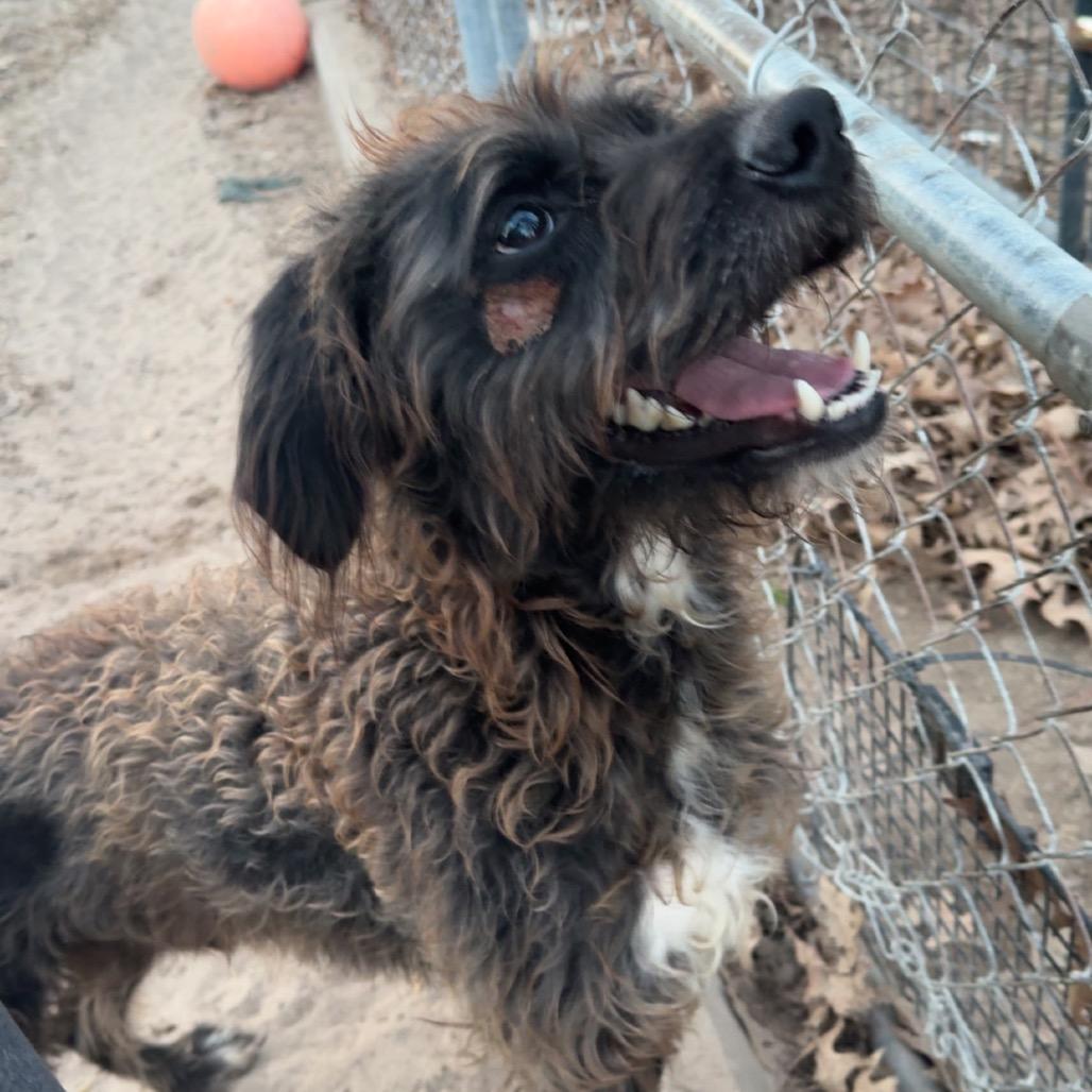 Reginald Bubbles — thumbnail 4