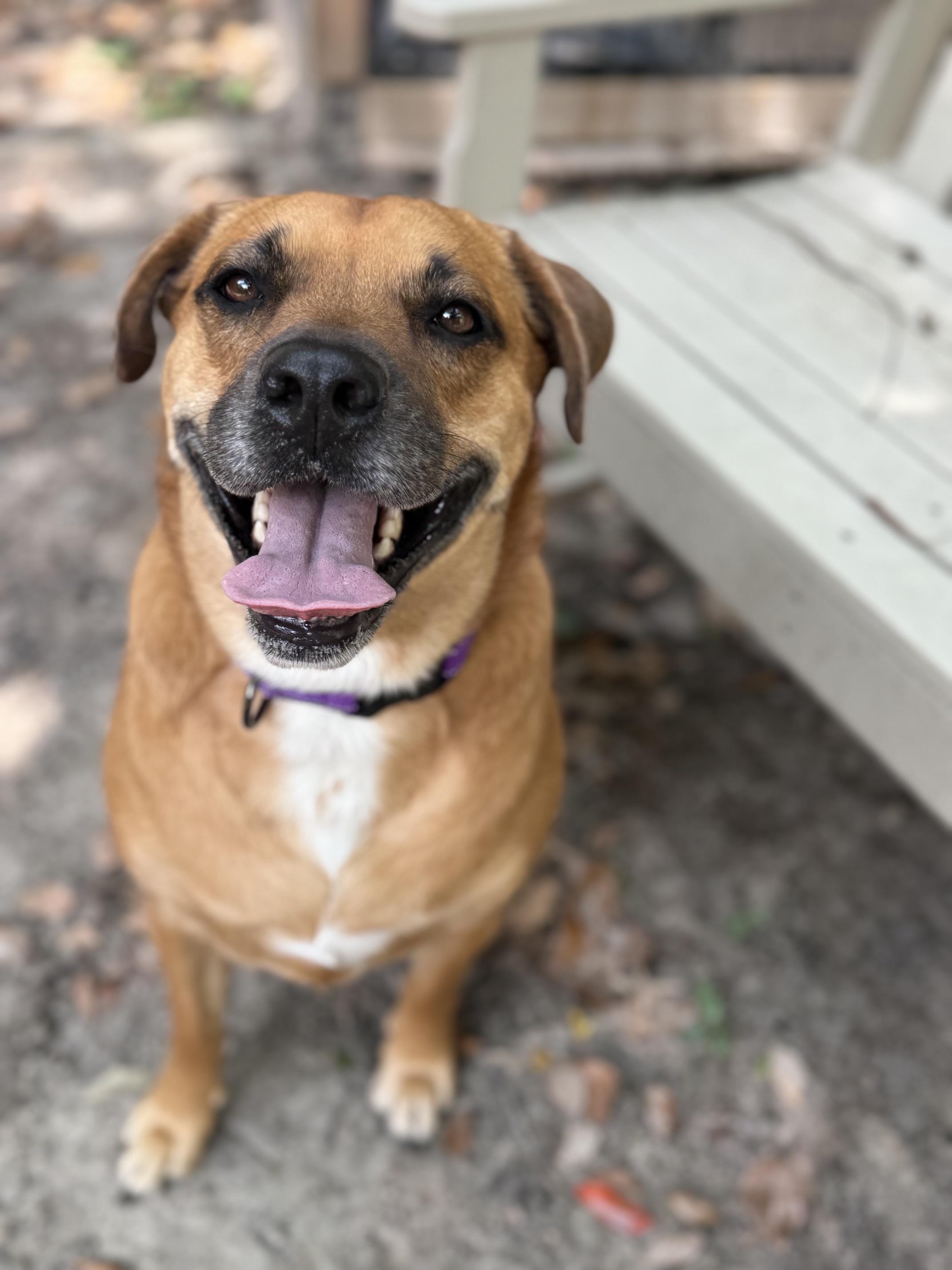 Smiling Lila photo