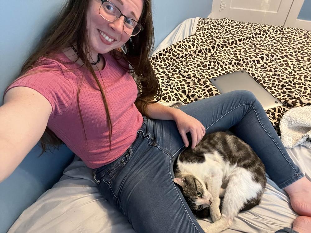 Scran, a Adoptable Domestic Short Hair in Albany, NY image 1/6