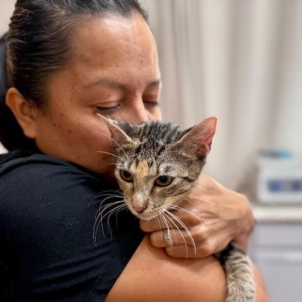 Watermelon Sugar — thumbnail 2