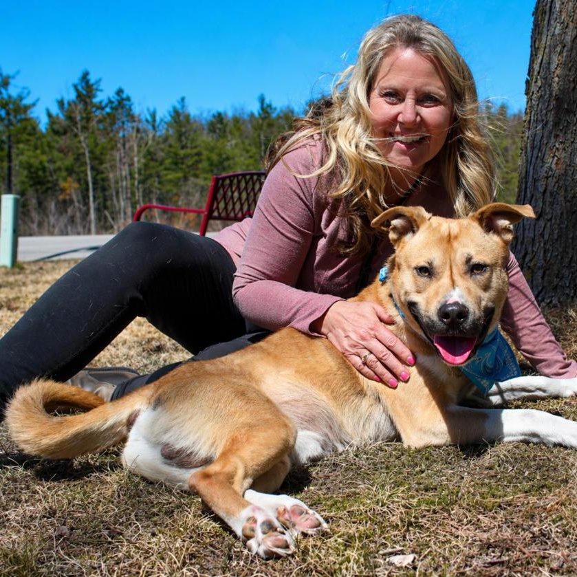 Enlarge Rexx, a Adoptable mixed breed in Cheboygan, MI image 1/6