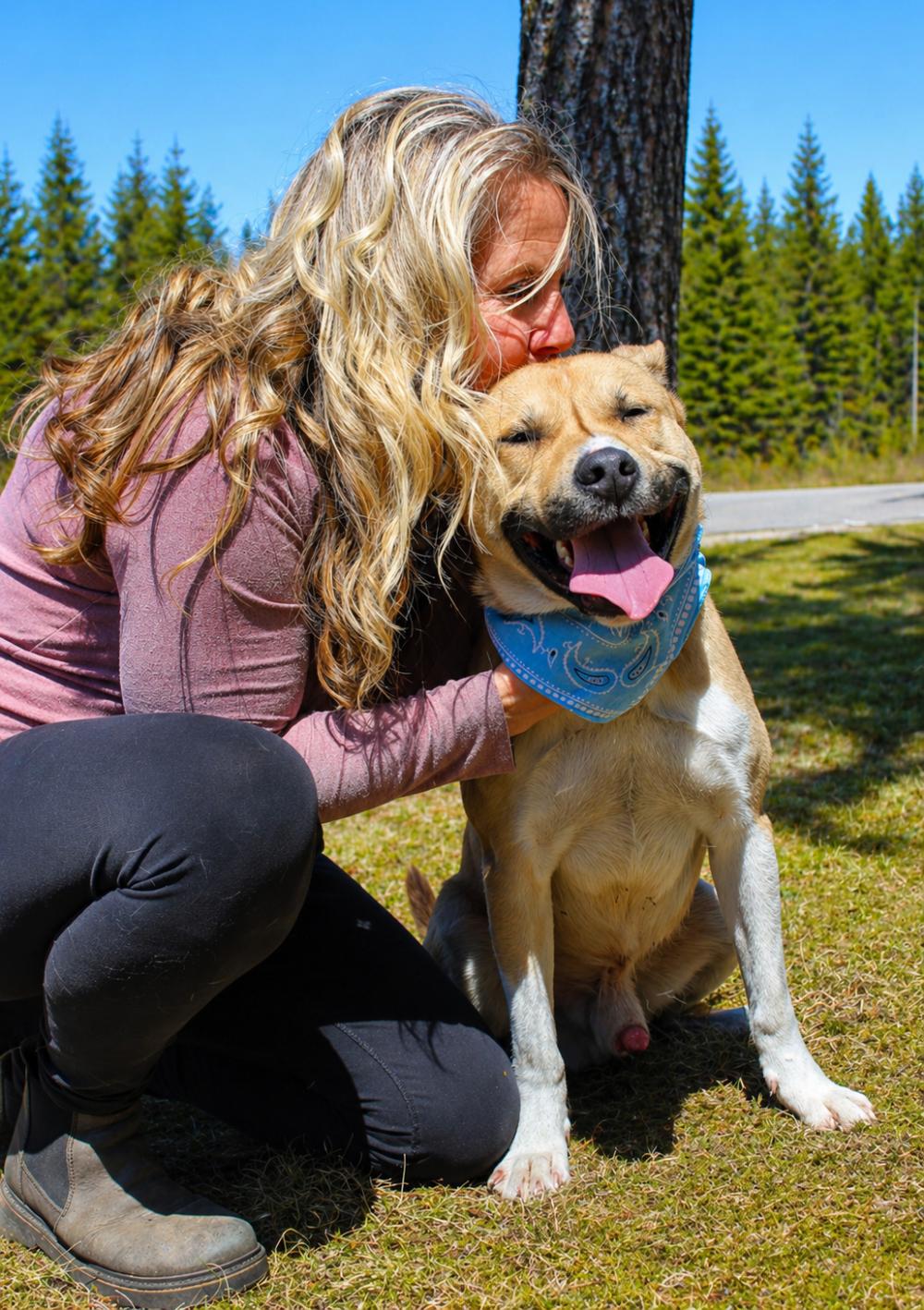 Enlarge Rexx, a Adoptable mixed breed in Cheboygan, MI image 6/6
