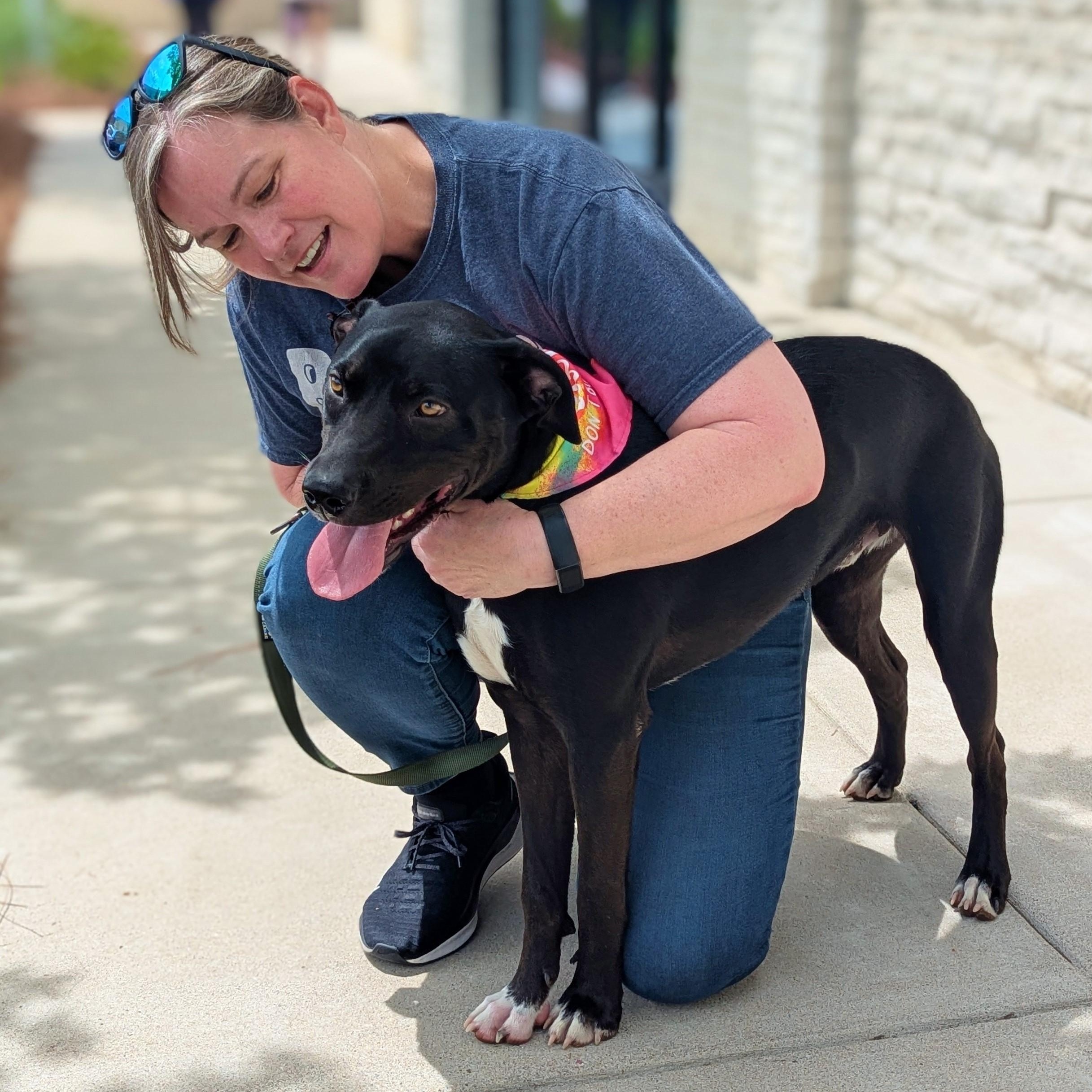 Enlarge Dopey, a Adoptable mixed breed in Helena, AL image 2/6